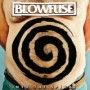 BLOWFUSE