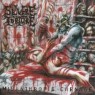 SEVERE TORTURE