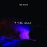 WHITE VIOLET