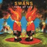 SWANS