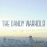 DANDY WARHOLS