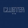 CLUSTER