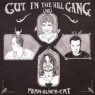 CUT IN THE HILL GANG