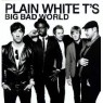 PLAIN WHITE TS