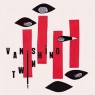 VANISHING TWIN