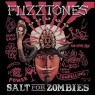 FUZZTONES