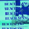 BEACH SLANG