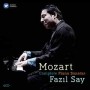 SAY FAZIL