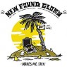 NEW FOUND GLORY