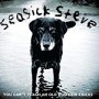 SEASICK STEVE