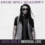 BINEA KWAME SHAKEDOWN