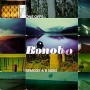 BONOBO