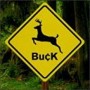 BUCK