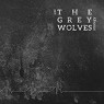 GREY WOLVES