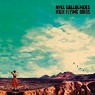 GALLAGHER NOEL -HIGH FLYING BIRDS-