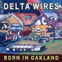 DELTA WIRES