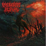 FACELESS BURIAL