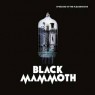 BLACK MAMMOTH