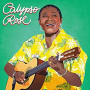 CALYPSO ROSE