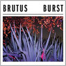 BRUTUS