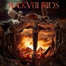 BLACK VEIL BRIDES