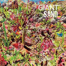 GIANT SAND